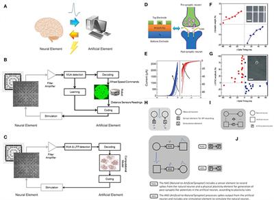 Coupling Resistive Switching Devices with Neurons: State of the Art and Perspectives